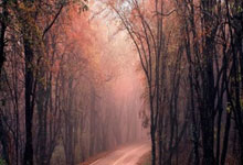 万博体育官网：[CBA]莫兰德虎口拔牙 抢断对手随后完成暴扣.