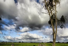 万博体育官网：[NBA]库里三节30分 勇士24分大胜独行侠.