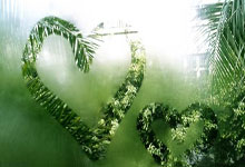 北青体育：塞尔吉尼奥、王钰栋等新人有望今夜迎来国足处子秀.